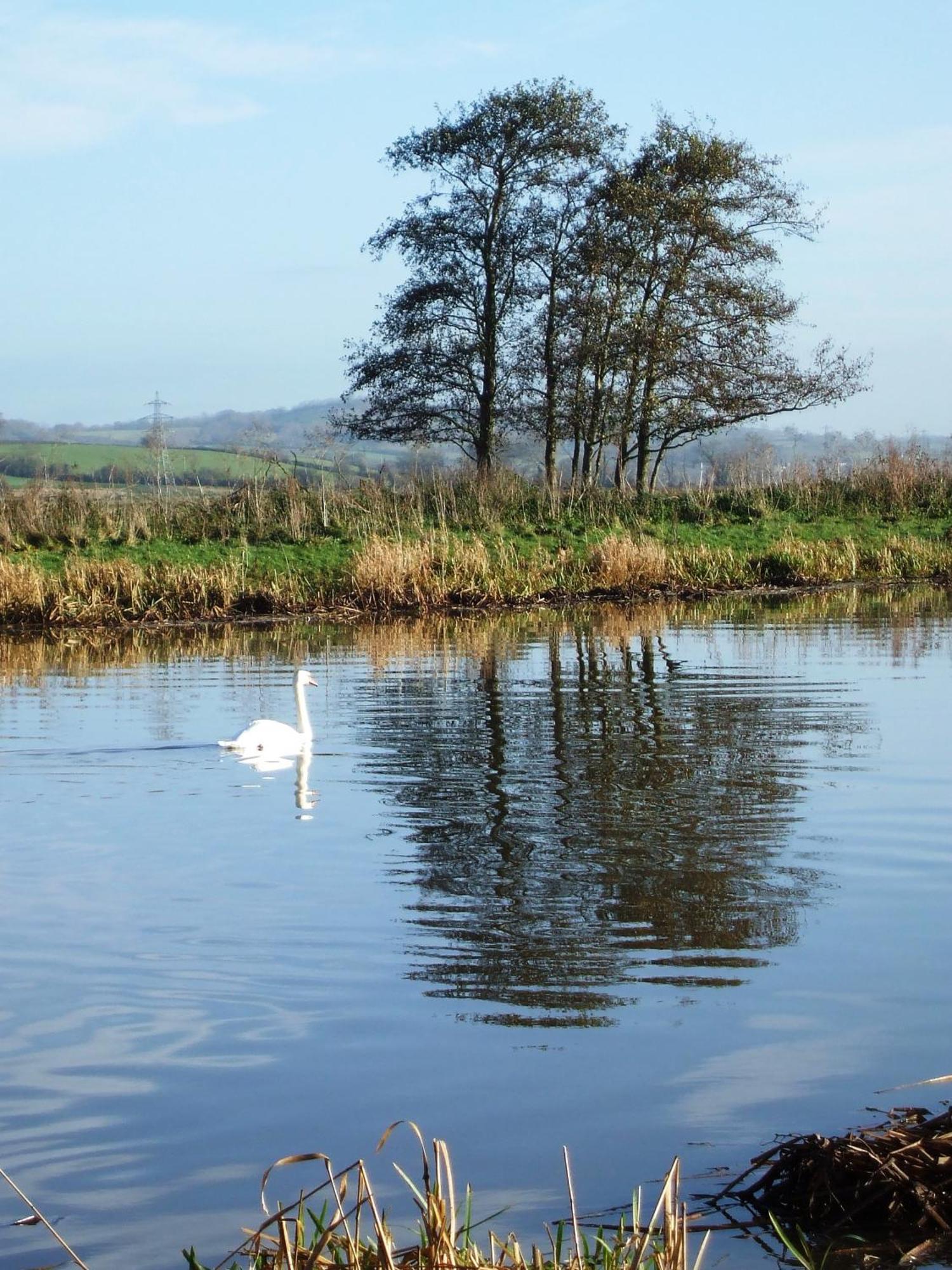 布里奇沃特 凉亭旅馆酒店 外观 照片 Swans on the River Wye